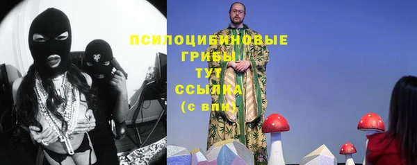 apvp Абинск
