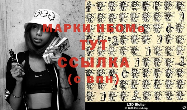 стафф Покачи