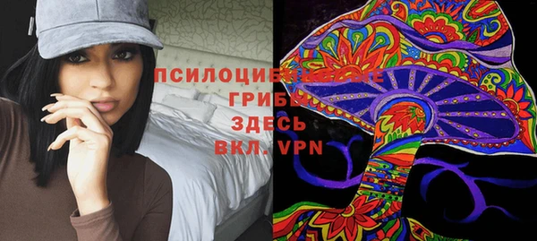 apvp Абинск