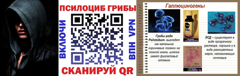 Псилоцибиновые грибы мицелий  Мыски 