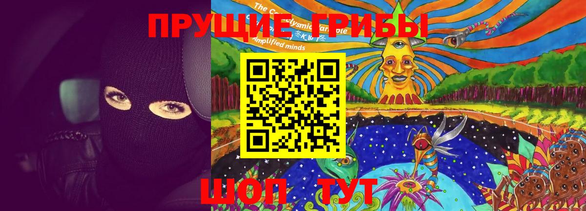Псилоцибиновые грибы Psilocybe Мыски